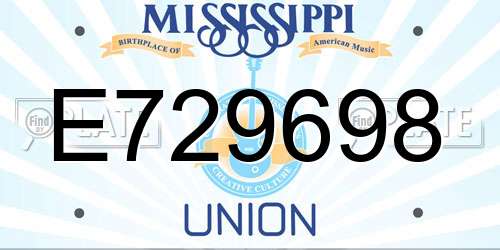 E729698 Mississippi License Plate