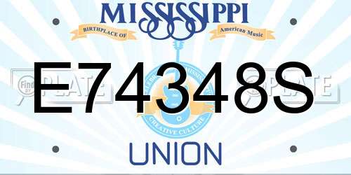 E74348S Mississippi License Plate