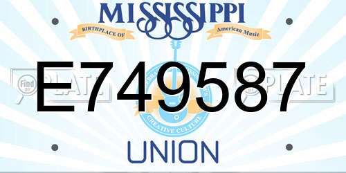 E749587 Mississippi License Plate