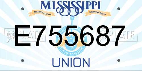 E755687 Mississippi License Plate