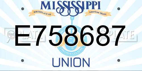 E758687 Mississippi License Plate