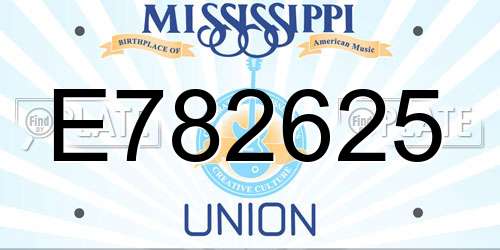 E782625 Mississippi License Plate
