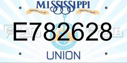 E782628 Mississippi License Plate