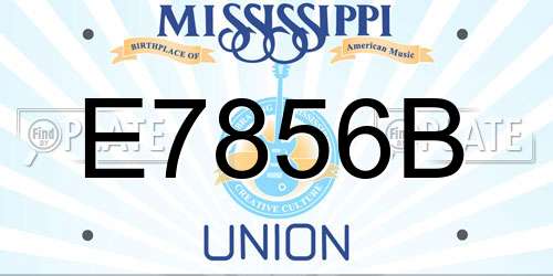 E7856B Mississippi License Plate