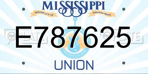 E787625 Mississippi License Plate