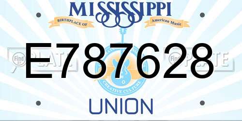 E787628 Mississippi License Plate