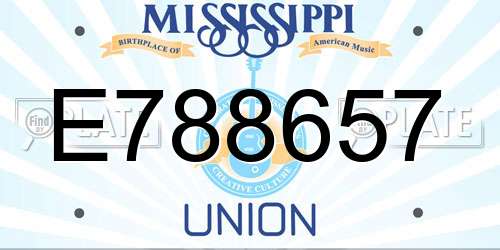 E788657 Mississippi License Plate