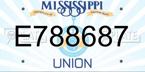 E788687 Mississippi License Plate