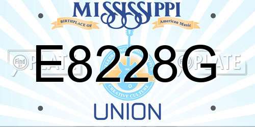 E8228G Mississippi License Plate