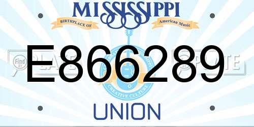 E866289 Mississippi License Plate