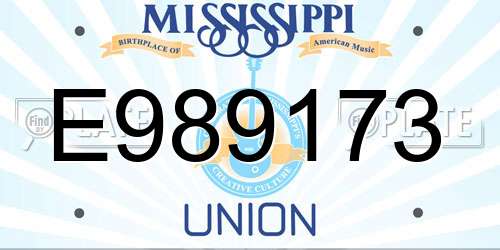 E989173 Mississippi License Plate