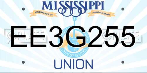 EE3G255 Mississippi License Plate