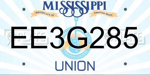 EE3G285 Mississippi License Plate