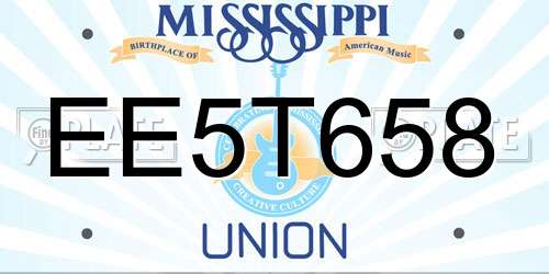 EE5T658 Mississippi License Plate