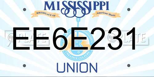 EE6E231 Mississippi License Plate