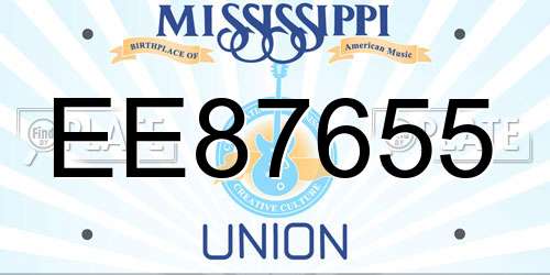 EE87655 Mississippi License Plate