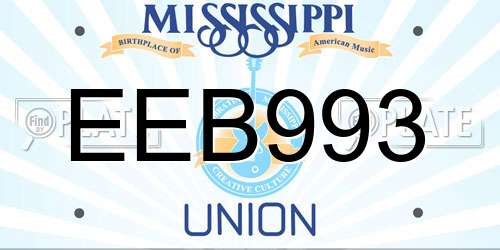 EEB993 Mississippi License Plate