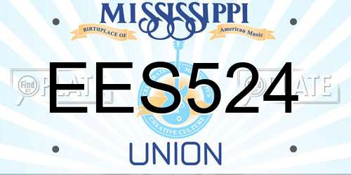 EES524 Mississippi License Plate