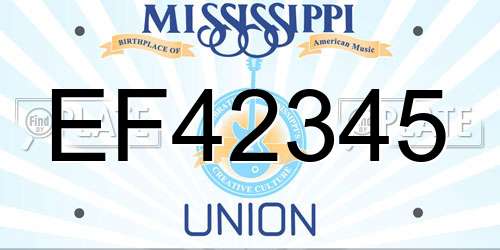 EF42345 Mississippi License Plate