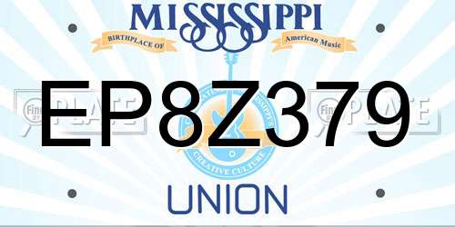 EP8Z379 Mississippi License Plate