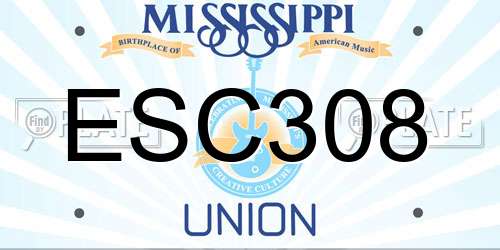 ESC308 Mississippi License Plate