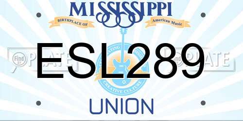 ESL289 Mississippi License Plate