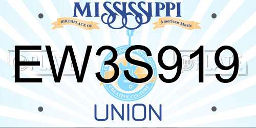 EW3S919 Mississippi License Plate