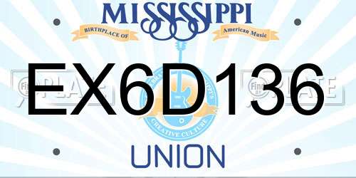 EX6D136 Mississippi License Plate