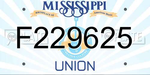 F229625 Mississippi License Plate