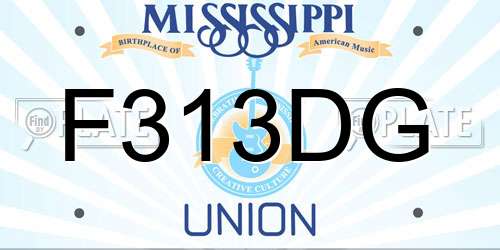 F313DG Mississippi License Plate