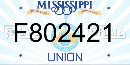 F802421 Mississippi License Plate