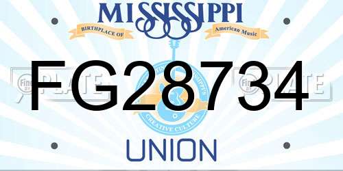 FG28734 Mississippi License Plate