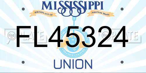 FL45324 Mississippi License Plate