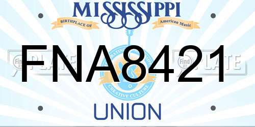 FNA8421 Mississippi License Plate