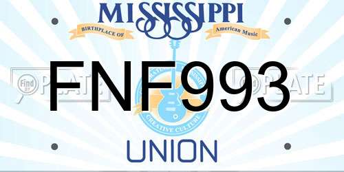FNF993 Mississippi License Plate