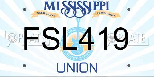 FSL419 license plate in MS state