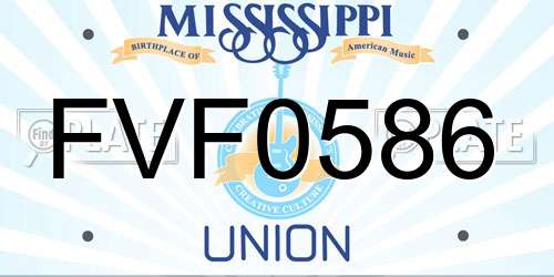 FVF0586 Mississippi License Plate
