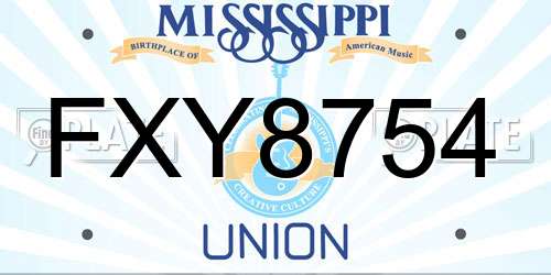 FXY8754 Mississippi License Plate
