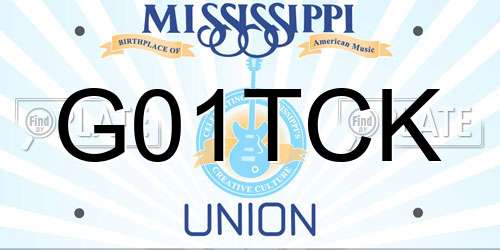 G01TCK Mississippi License Plate