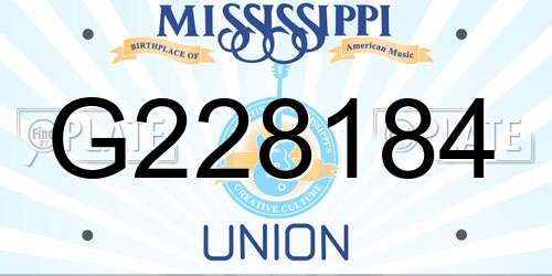 G228184 Mississippi License Plate