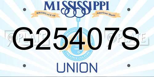 G25407S Mississippi License Plate