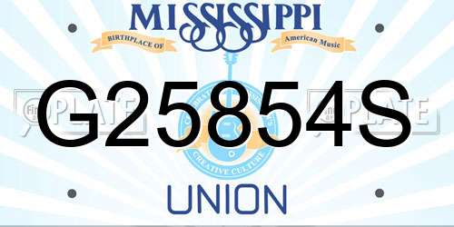 G25854S Mississippi License Plate