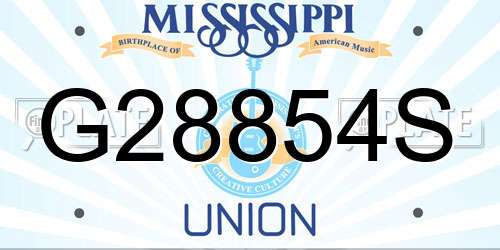 G28854S Mississippi License Plate