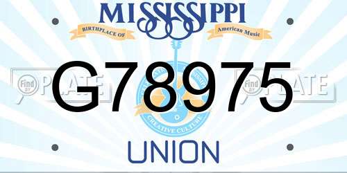 G78975 Mississippi License Plate
