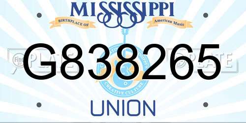 G838265 Mississippi License Plate