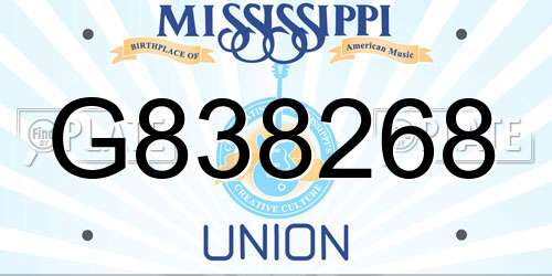 G838268 Mississippi License Plate