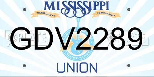 GDV2289 Mississippi License Plate