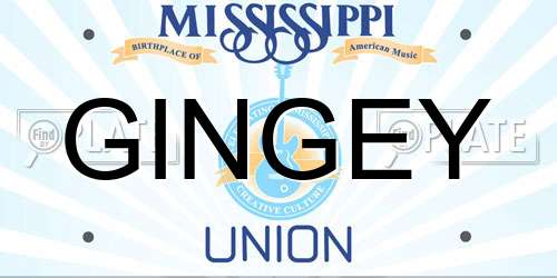 GINGEY Mississippi License Plate