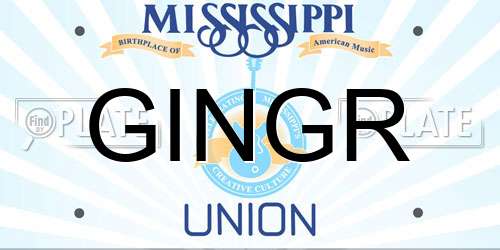 GINGR Mississippi License Plate
