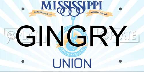 GINGRY Mississippi License Plate